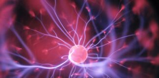 FREEING YOUR CELLS FROM THE HEAVY BURDEN OF DEUTERIUM IS THE KEY TO BOOSTING YOUR INNER HEALER