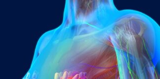 Effects of Low Concentration of Deuterium in Water on Biological Systems