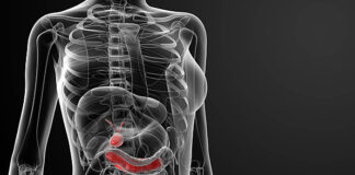Deuterium Depletion Inhibits Cell Proliferation, RNA and Nuclear Membrane Turnover to Enhance Survival in Pancreatic Cancer