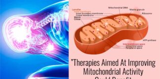 Scientists Confirm The Benefits of Drinking HydroHealth DDW: ”Therapies Aimed At Improving Mitochondrial Activity Could Benefit Inflammatory Diseases”